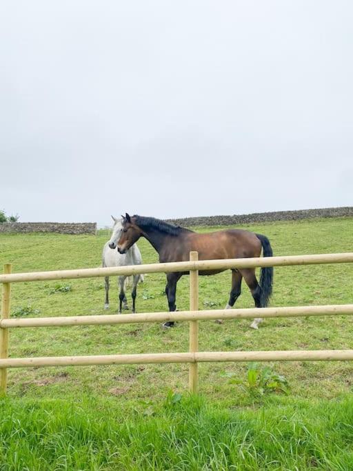 Vila Luxury Detached Peak District Stone Barn - Dog Friendly Hazelwood Exteriér fotografie